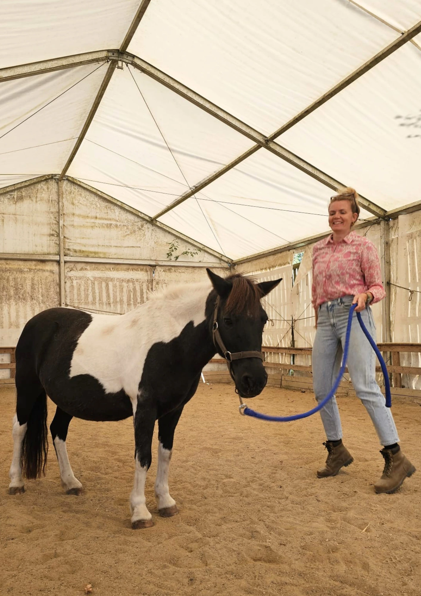 Juliette Dorval mène un poney pie en longe dans un manège couvert