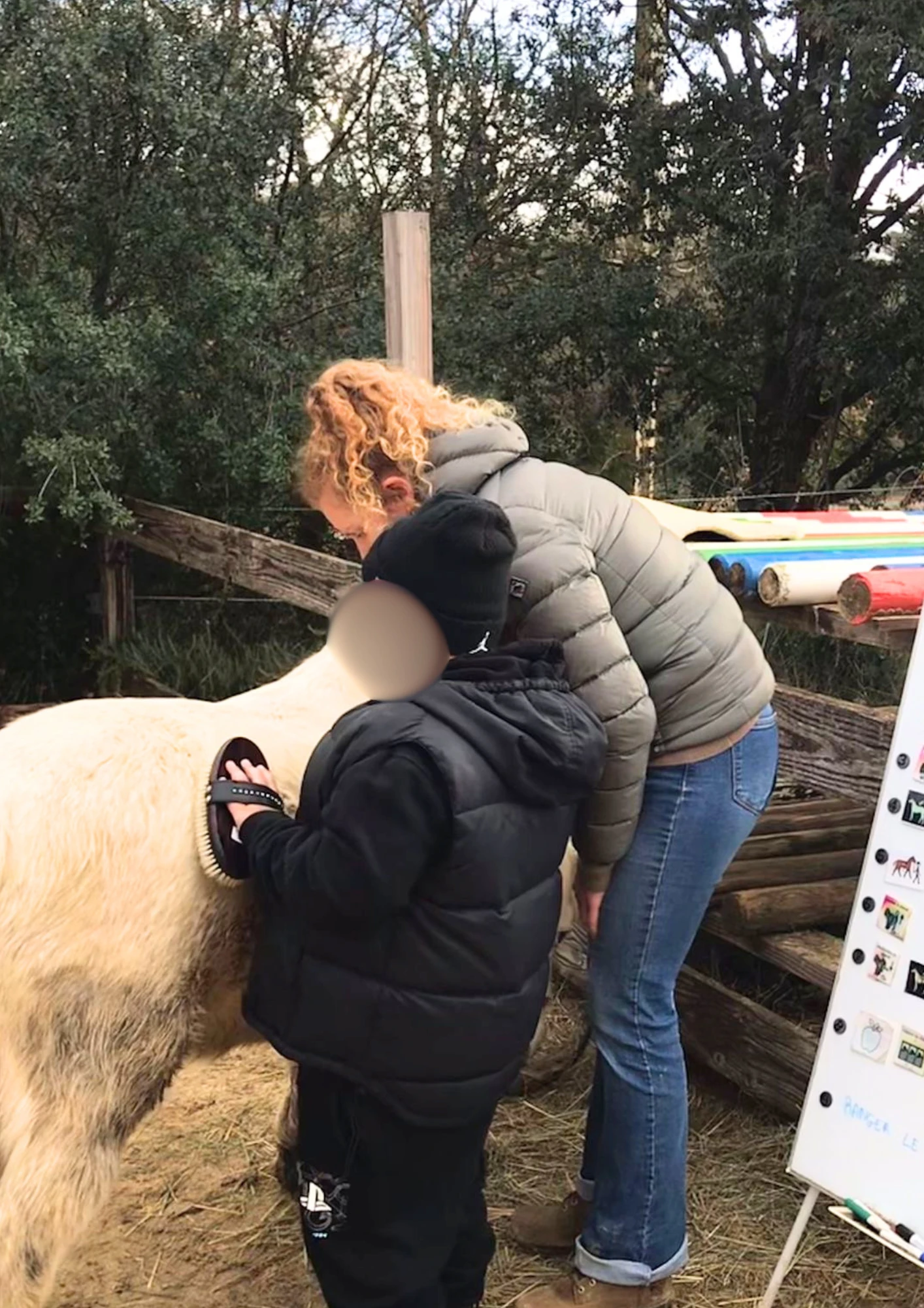 Juliette Dorval accompagne un enfant qui brosse un poney, près d’un tableau de pictogrammes